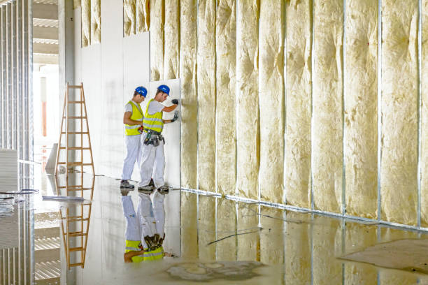 Best Specialized Insulation Services in Buzzards Bay, MA